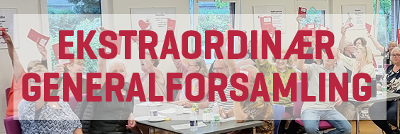 Ekstraordinær generalforsamling